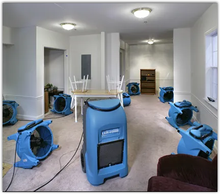Odor Removal & Deodorization in Melrose Park, IL