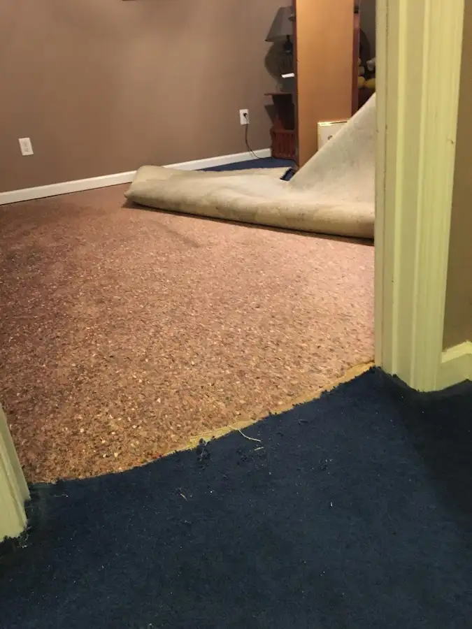 Carpet pad removal revealing water damage during Water Mitigation Services in Melrose Park
